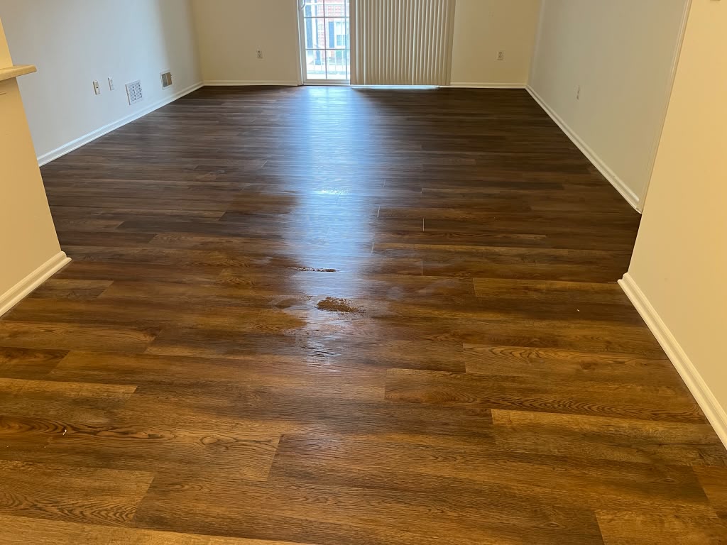 Stained Hardwood Living Room